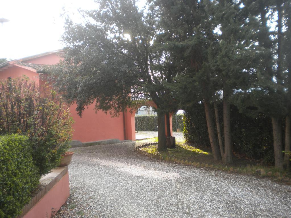 Podere Lo Stringaio Fauglia الغرفة الصورة