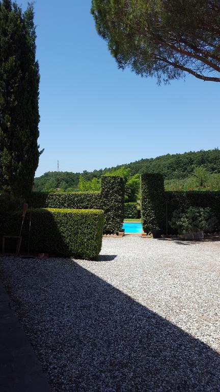 Podere Lo Stringaio Fauglia المظهر الخارجي الصورة