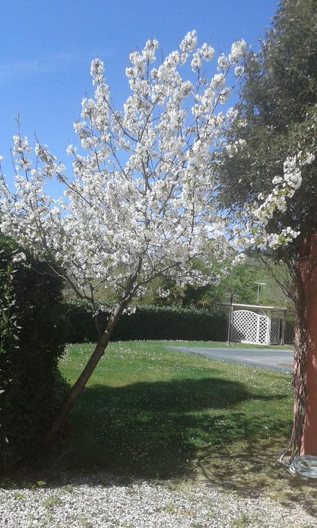 Podere Lo Stringaio Fauglia المظهر الخارجي الصورة